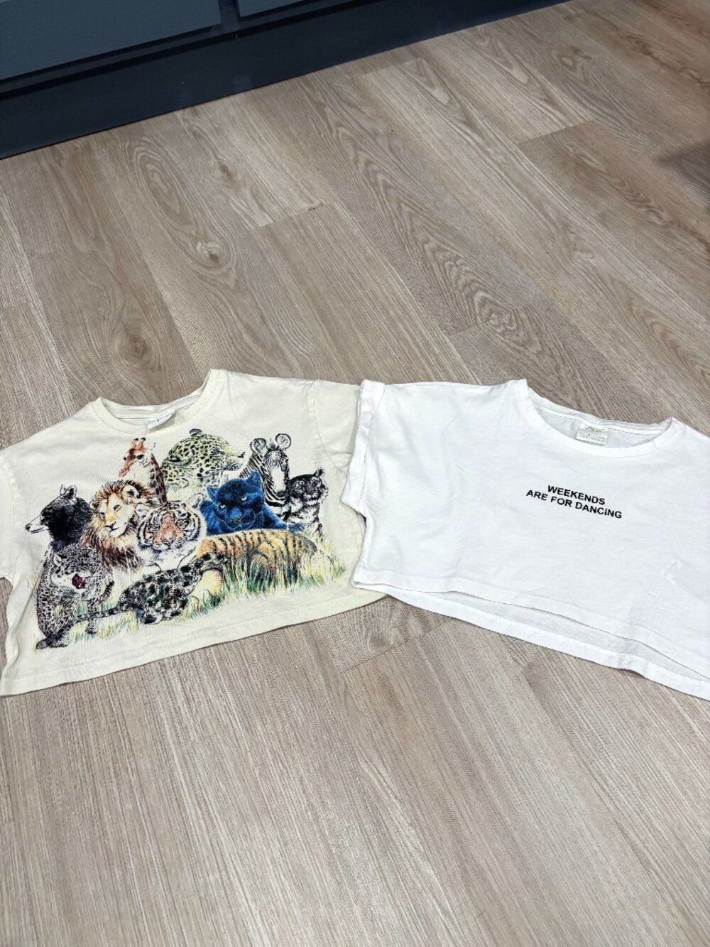 ZARA Kids Lot - Two Girls Cropped Short Sleeve Tees - Size 6